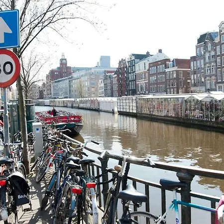 Flower Market Amsterdam