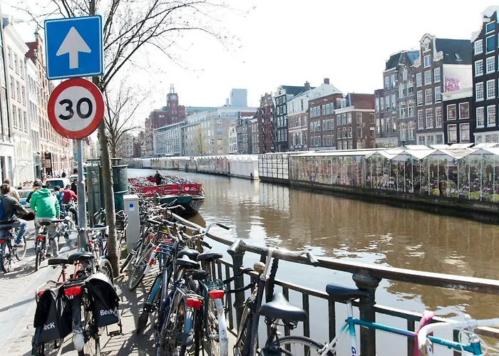 Flower Market Amsterdam